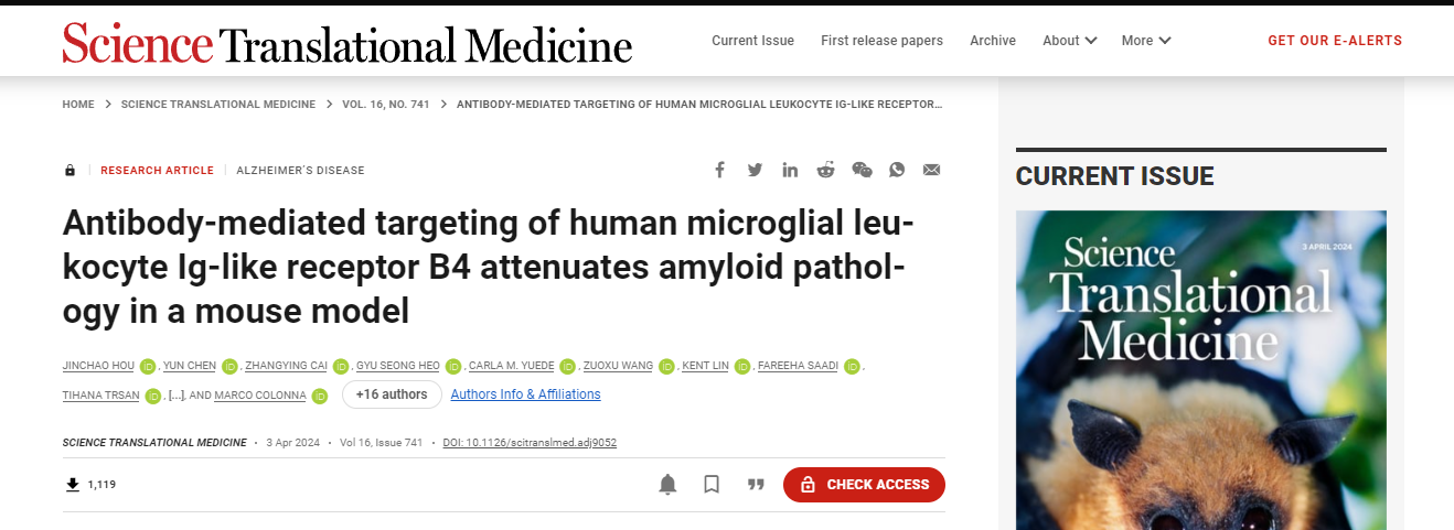Pathological study of anti-human LILRB4 antibody in a mouse model of Alzheimer's disease